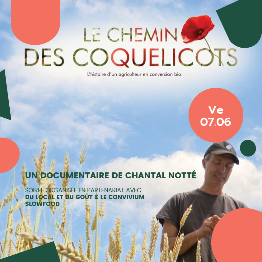 Le Chemin des Coquelicots - Vignette